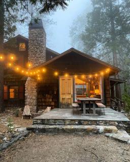 Owl Pine Cabin on Strawberry Creek - Idyllwild - 0