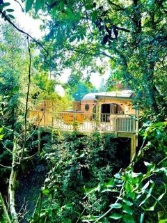 The Pines Treehouse at Treetops Hideouts - Richmond - 6