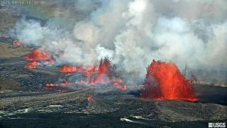 The Red Cottage and Hawaiian Pond Garden Paradise! - 3