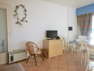 Appartement 2 pièces, terrasse, proche plage et centre, Le Lavandou - FR-1-251-345 - Le Lavandou - 7