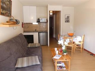 Appartement T2 pour 4 à 5 pers, Saint-Lary-Soulan, cuisine équipée, balcon sud, proche services et loisirs - FR-1-457-221 - Saint-Lary-Soulan - 0