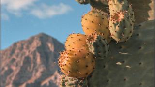 HOTEL Cala Buguto - 3