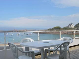 Appartement avec accès direct plage, WiFi, animaux acceptés et parking privé à Trégastel - FR-1-542-5 - Trégastel - 0