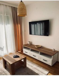 Woody apartman - Vrnjačka Banja - 3