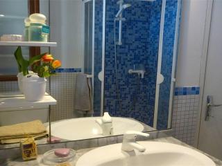 Duplex à Luchon, 2 chambres, 4 pers, proche thermes et téléphérique, animaux admis - FR-1-313-190 - Luchon - 1