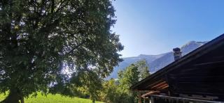 Chalet 'Les Riaux' - Studio individuel - Chateau-d'Oex - 2