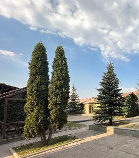 Giza - Yerevan - 4