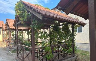 Giza - Yerevan - 3