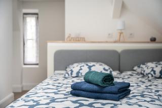 Duplex et Studio Saint Martin Le Beau - Saint-Martin-le-Beau - 4