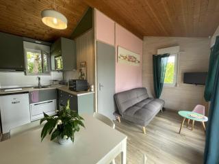 Chalet au bord de l'eau avec terrasse, pêche, baignade surveillée, buvette et activités extérieures - FR-1-489-360 - Pierrefitte-sur-Loire - 9