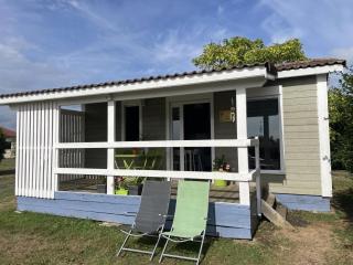 Chalet au bord de l'eau avec terrasse, pêche, baignade surveillée, buvette et activités extérieures - FR-1-489-360 - Pierrefitte-sur-Loire - 1