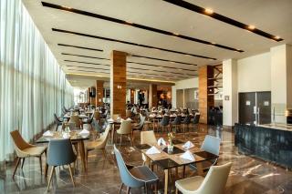 Hilton Garden Inn Aguascalientes - 1