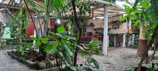Raices Mompiche - 5