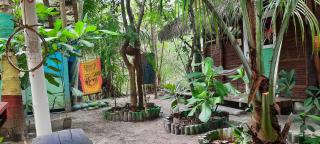 Raices Mompiche - 4