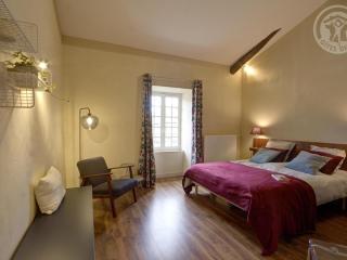 Gîte historique entre Lyon et Saint-Étienne avec Wi-Fi, jardin, équipements bébé et proche tennis - FR-1-496-275 - Sainte-Croix-en-Jarez - 1