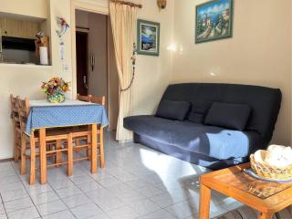 Appartement Climatisé avec Terrasse - 100m de la Plage - 4 couchages - Parking et Ménage Inclus - FR-1-251-444 - Le Lavandou - 4