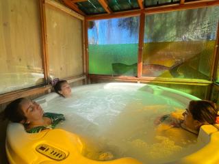 Suite & Cabañas Los PINARES DEL MAR Desayuno - Sesión de jacuzzi -Pet frienly - Isla Negra - 1