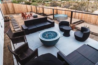 Limitless Joshua Tree - 4