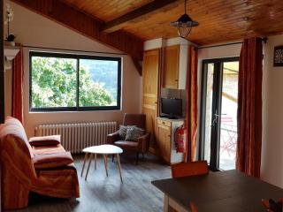 Gîte calme avec poêle à bois, terrasse et animaux admis - FR-1-489-470 - Laprugne - 6
