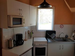 Gîte calme avec poêle à bois, terrasse et animaux admis - FR-1-489-470 - Laprugne - 1
