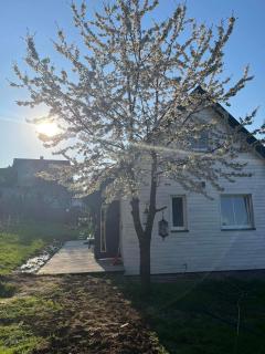 Mały biały domek Wadowice SPA jacuzzi sauna Gorzen blisko Wadowic - 3
