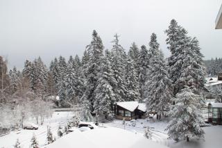 Charming one bed apartment 423 in main Flora building - 5