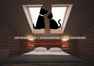 Turiyske Podvir'ya - Blazhennik - 8