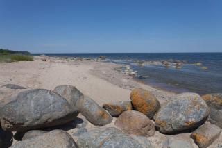 Viesu māja Vanaturs - 1