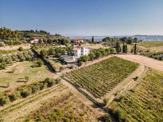 Sole Verde green house - Terricciola - 8