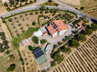 Sole Verde green house - Terricciola - 3