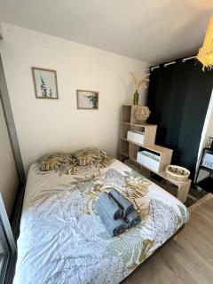 The Jungle Studio, loggia & parking dans résidence - Romans-sur-Isère - 9