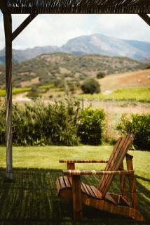 Auberge Santu Martine Cottage with Pool (Ollastru) - Galtellì - 3