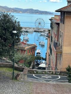 Notti magiche a Santa Margherita ligure - Santa Margherita Ligure - 8