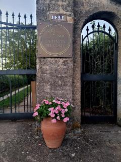 La Tenuta Del Conte - Vignanello - 6