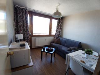 Studio fonctionnel au pied des pistes, rénové, balcon, animaux admis - FR-1-181-2657 - La Plagne Tarentaise - 0