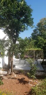 DOWNTOWN GARDEN - Lovište - 6