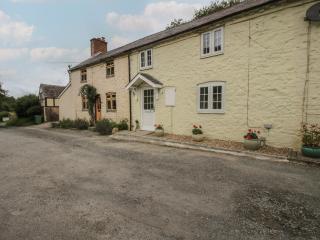 Bluebell's Cottage - 8