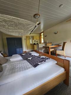 Pension Schatzkisterl - Zwiesel - 9