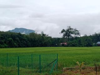 De Hampar Homestay - Kampong Merbok - 9