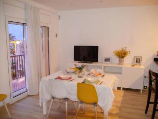 NARCIS MONTURIOL - Apartamento con terraza y vistas a la playa del port de Llançà. - ES-228-79 - Llançà - 9
