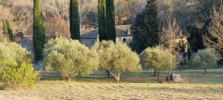 Domaine du Moulin de Cors - La Roque-sur-Cèze - 6