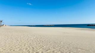 Magnifique Maison avec piscine privée à 300 m d'une trés jolie plage de sable - Le Barcarès - 6