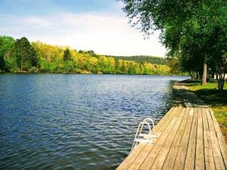 Perfect Lake Retreat - Hot Springs - 3