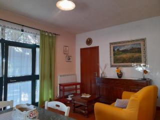 8380 Il Tiglio Verde - 1
