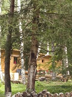Chalet papillon Domaine de la Mamounette - Boussoulet - 9
