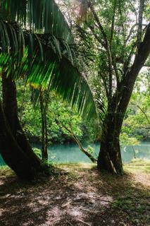 Crystal Creek Lodge - Orange Walk - 7