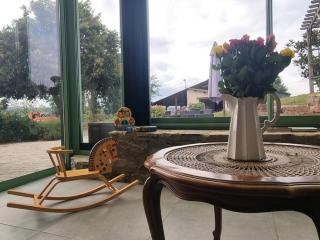 Gîte de charme avec terrasse, jardin et jeux - tout inclus, lits faits, linge fourni à Saint-Galmier - FR-1-496-300 - Saint-Galmier - 3