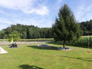Ferienhaus Am Bach - Kirchberg an der Raab - 2