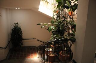 Hotel Plaza El Santuario - 3