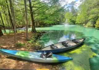 Waterfront Treehouse in a Magical Forest - Waller - 9